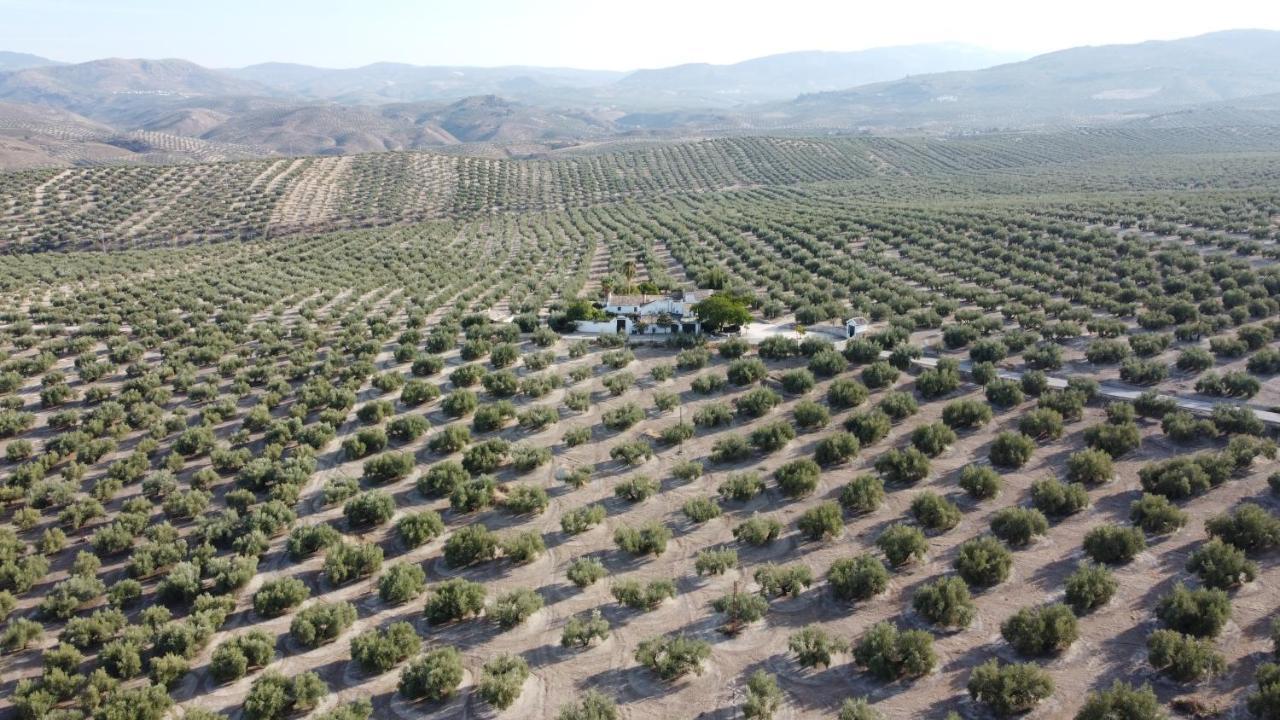 Casa De Familia Cortijo La Cubertilla Fuente-Tojar Eksteriør bilde
